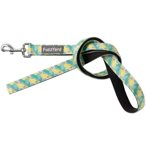 15% OFF: FuzzYard Dog Leash (Bananarama)
