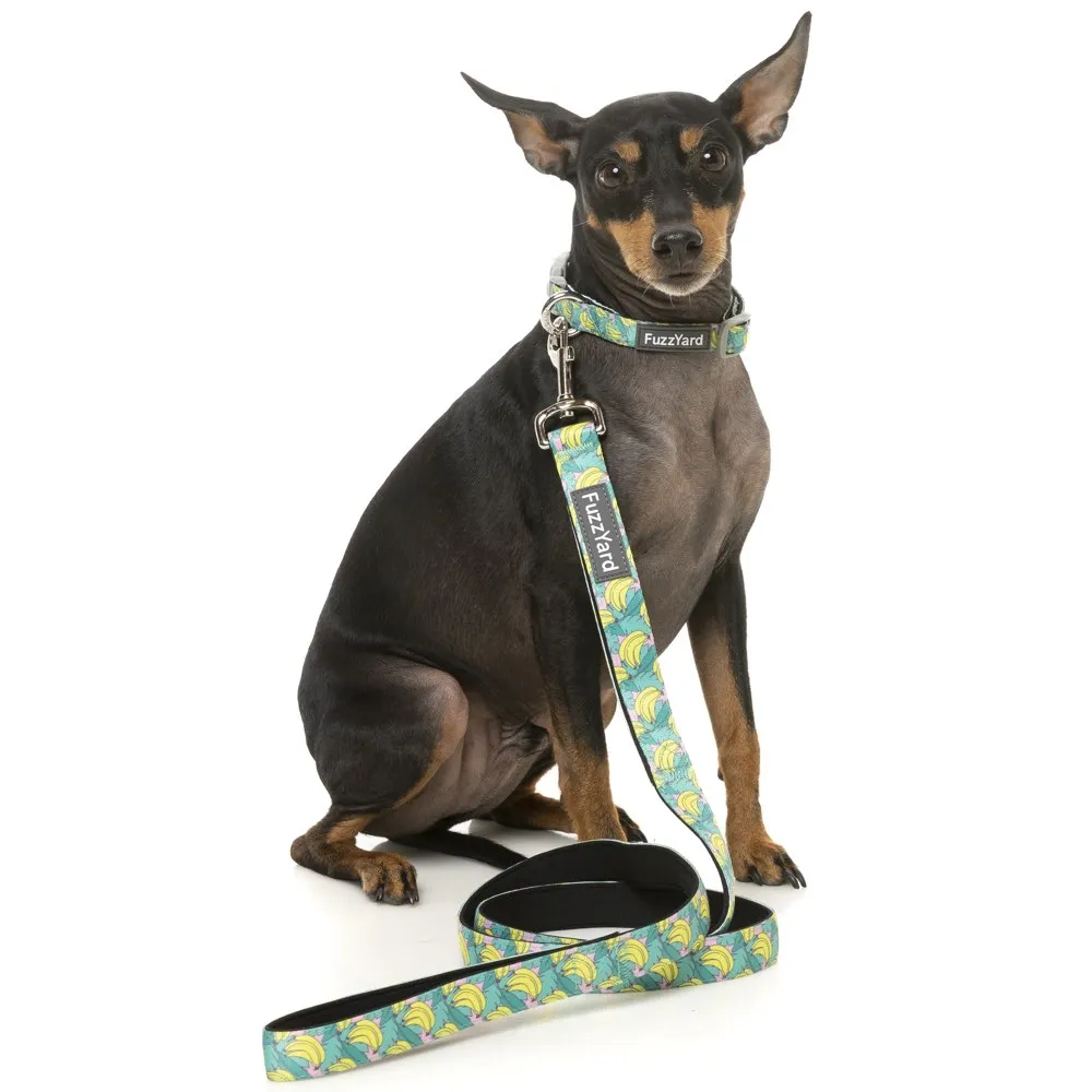 15% OFF: FuzzYard Dog Leash (Bananarama)